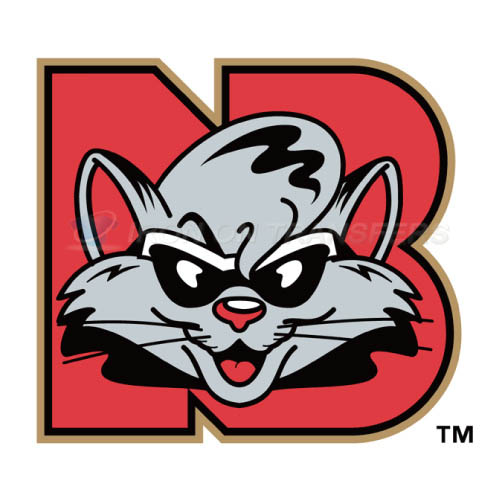 New Britain Rock Cats Iron-on Stickers (Heat Transfers)NO.7849
